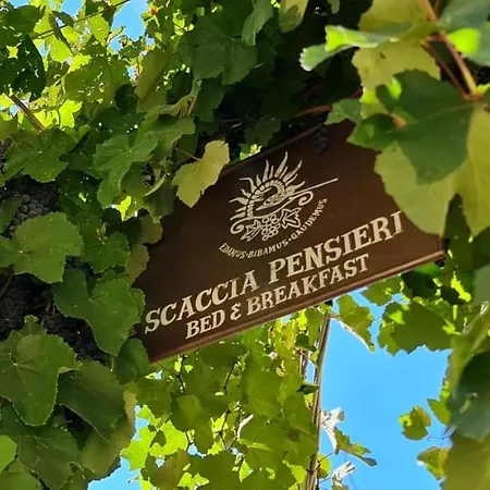 Scaccia Pensieri Tatil Evi