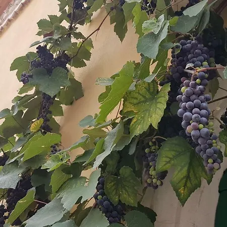 Scaccia Pensieri Holiday home