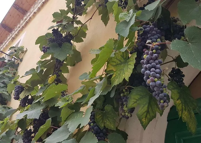 Scaccia Pensieri Casa vacanze